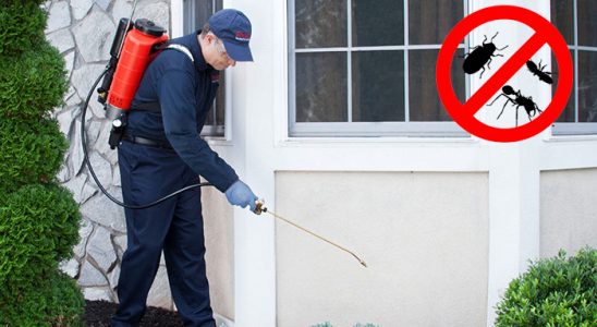 Ayvalık Bit İlaçlama böcek ilaçlama ve haşere kontrolü — ilaclama-tr.com